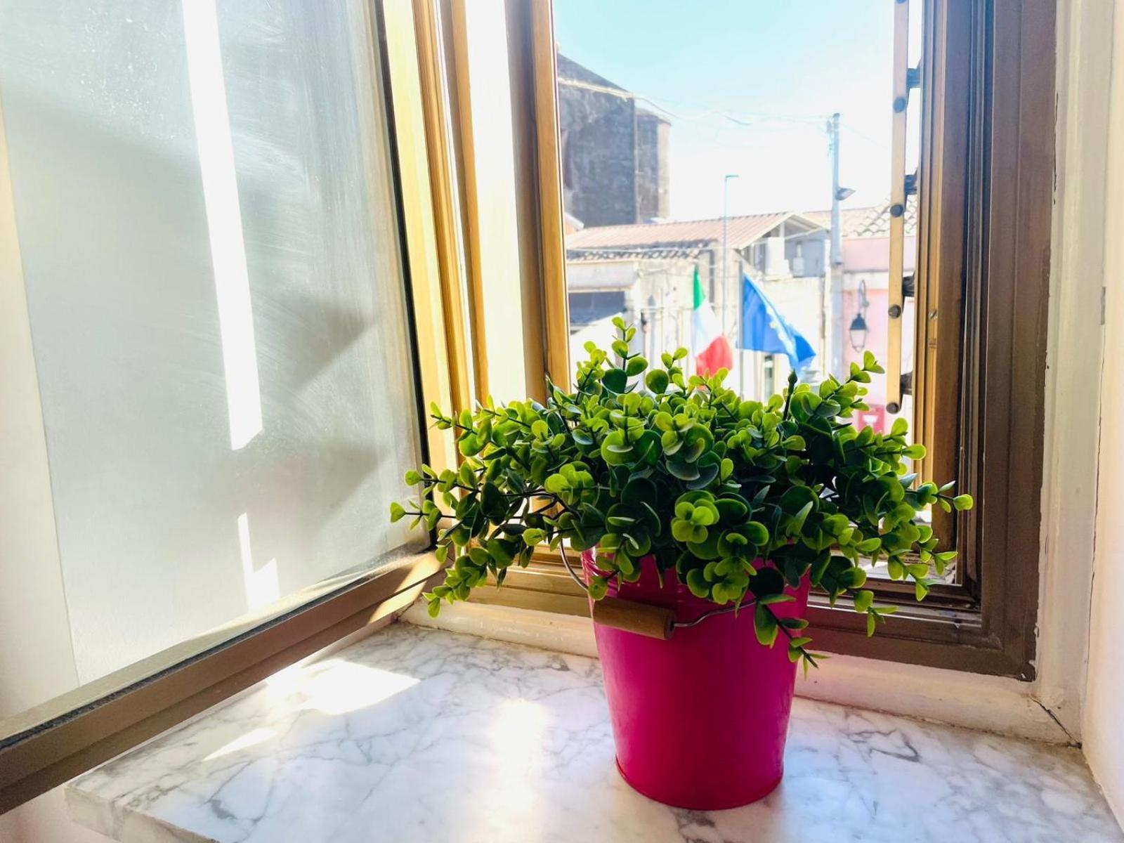 Bed and Breakfast La Dama Dell'Etna Nicolosi Exterior foto